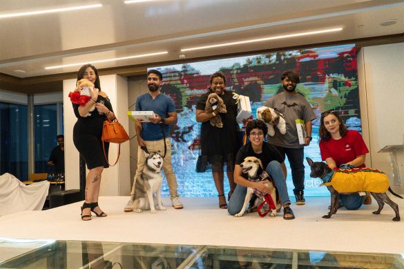 Hilton Bahrain Hosted a Dog Fashion Show Competition